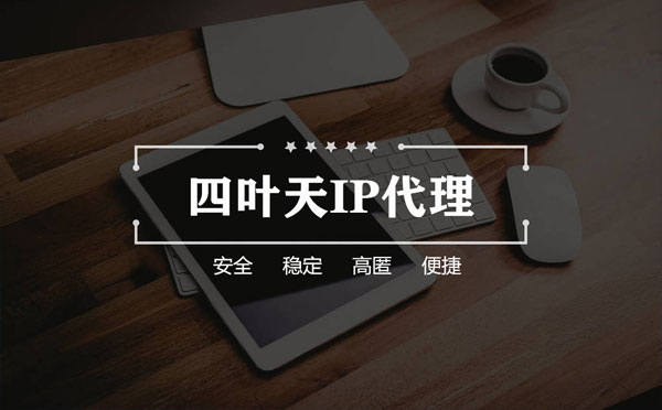 【毕节代理IP】如何快速搭建代理IP？怎么检查代理的效果？